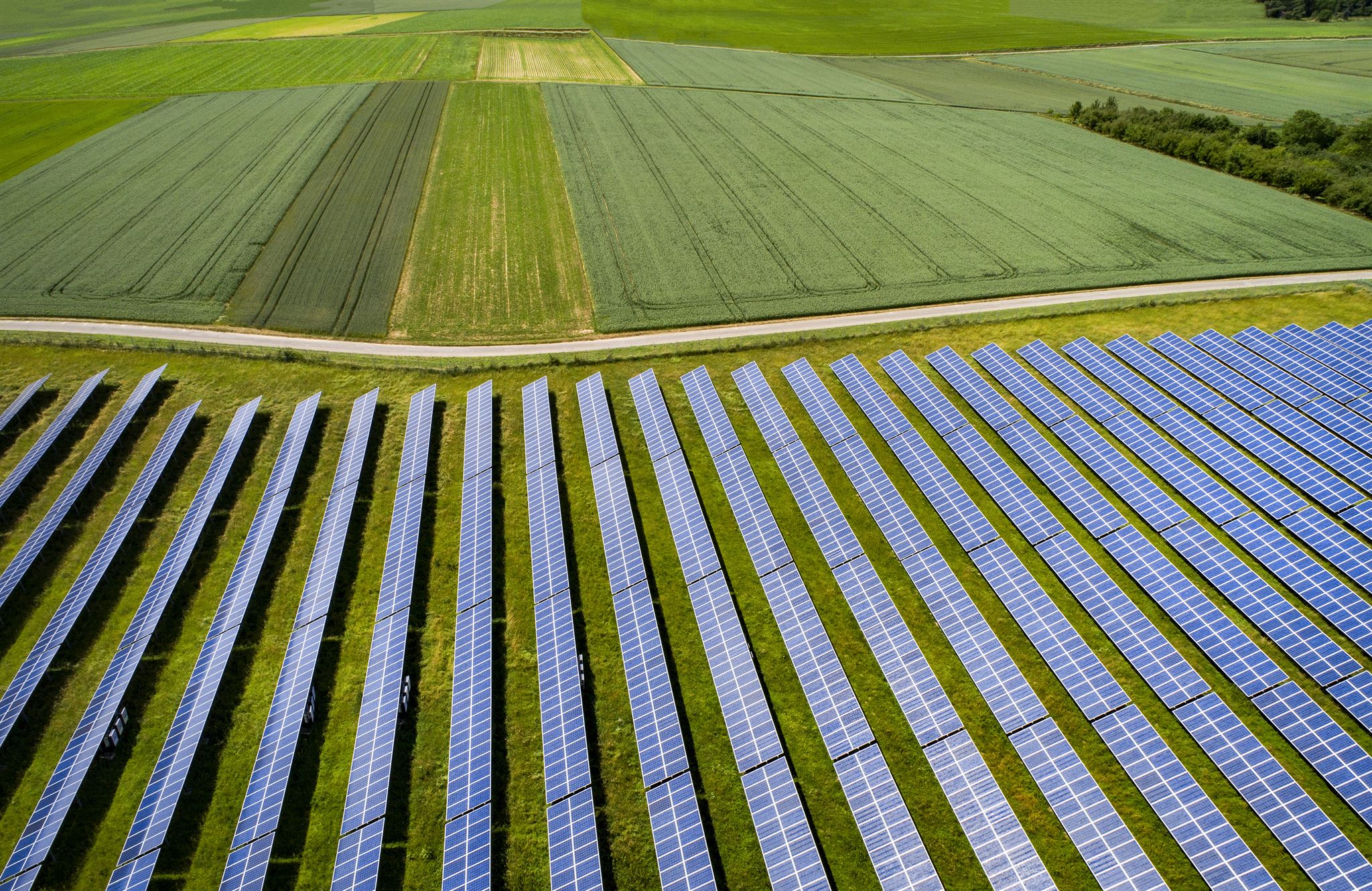 Painéis solares em campo sob céu azul